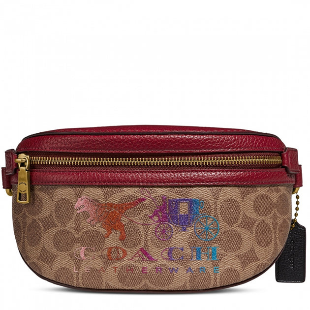 Coach Signature Rainbow Rowan Satchel - Luxe Purses