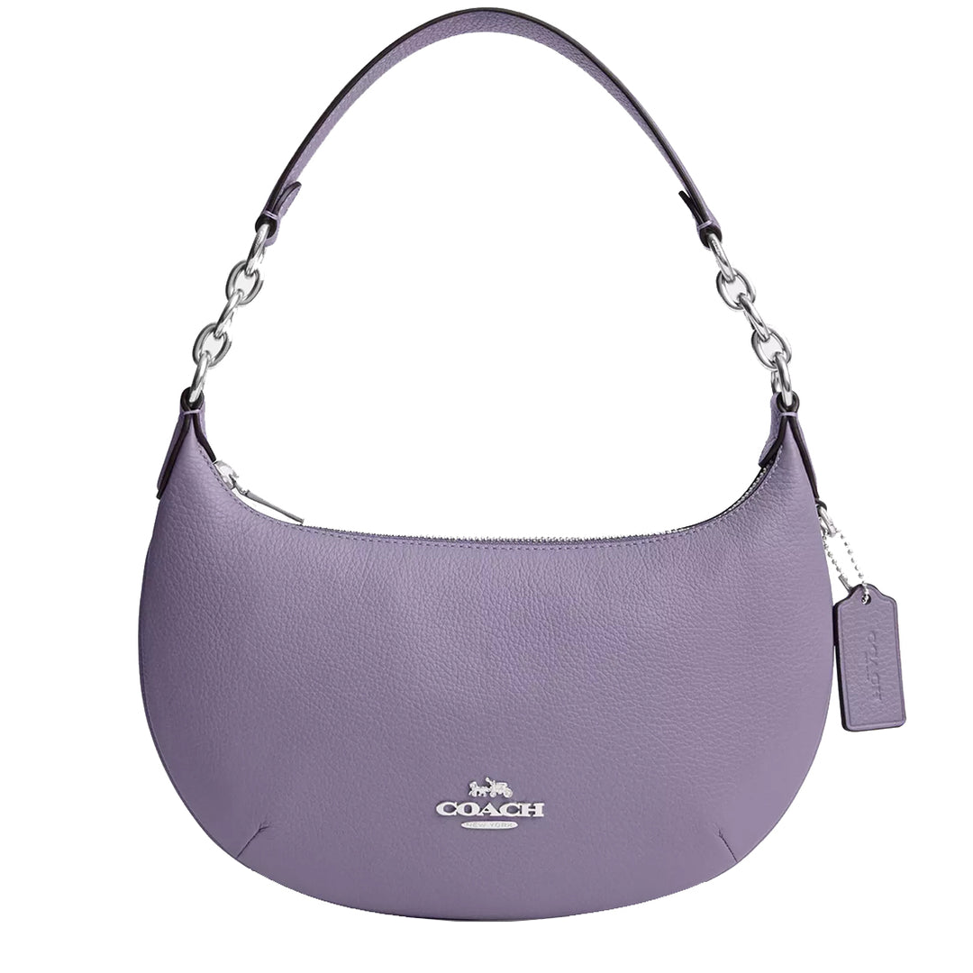 Coach hobo online purse