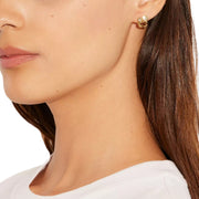 Buy Coach Signature Crystal Cluster Stud Earrings in Gold C9450 Online in Singapore | PinkOrchard.com